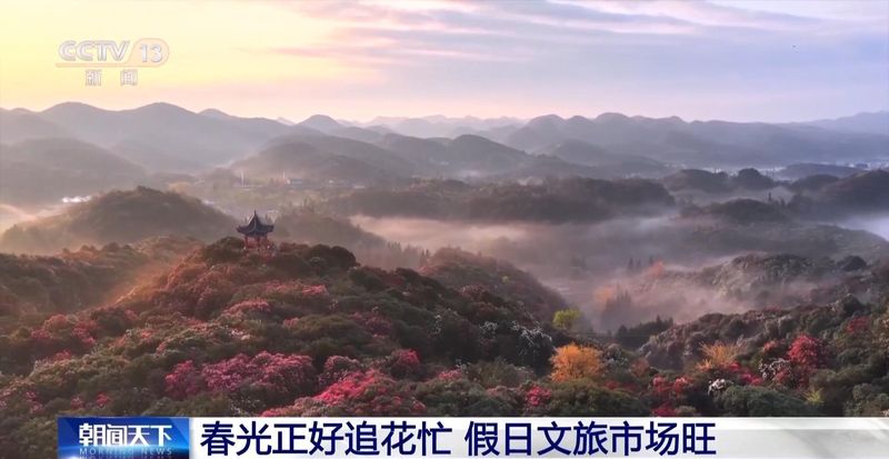  花开了，小镇醒了：一个被春天改变的地方和在那里遇见的故事 文化旅游 花开了，小镇醒了：一个被春天改变的地方和在那里遇见的故事 文化旅游