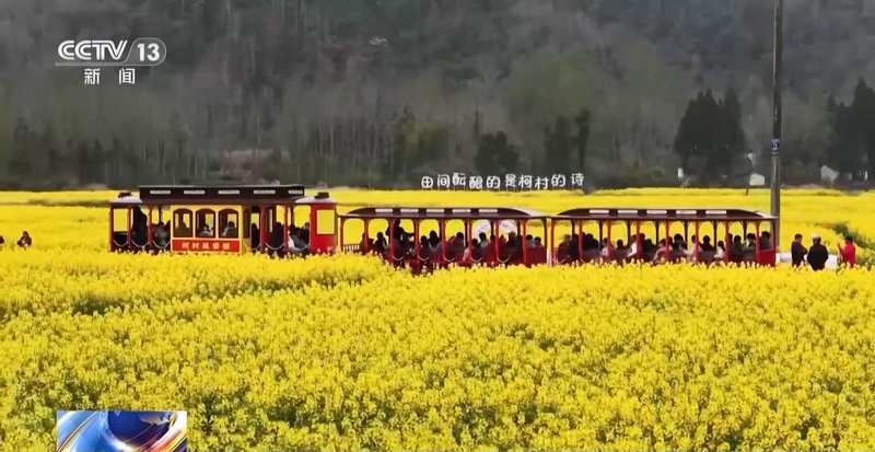  花开了，小镇醒了：一个被春天改变的地方和在那里遇见的故事 文化旅游 花开了，小镇醒了：一个被春天改变的地方和在那里遇见的故事 文化旅游