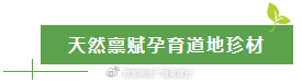  太行深处那抹金黄：涉县人与连翘的不解之缘 文化旅游 太行深处那抹金黄：涉县人与连翘的不解之缘 文化旅游