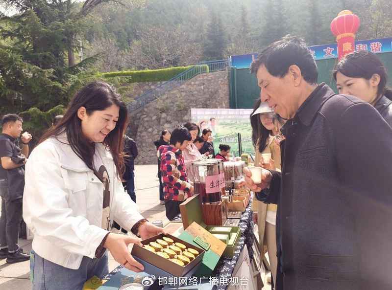  太行深处那抹金黄：涉县人与连翘的不解之缘 文化旅游 太行深处那抹金黄：涉县人与连翘的不解之缘 文化旅游