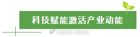  太行深处那抹金黄：涉县人与连翘的不解之缘 文化旅游 太行深处那抹金黄：涉县人与连翘的不解之缘 文化旅游