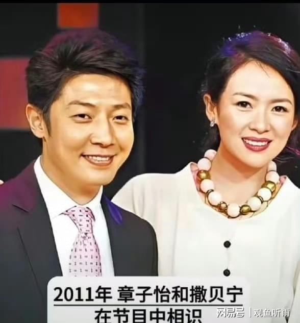  收入鸿沟与价值错位：撒贝宁与章子怡情感破裂的技术复盘 娱乐新闻