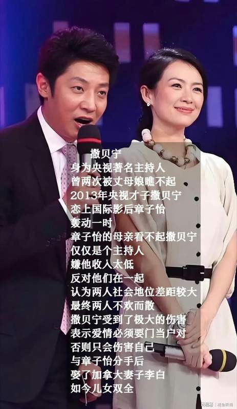  收入鸿沟与价值错位：撒贝宁与章子怡情感破裂的技术复盘 娱乐新闻