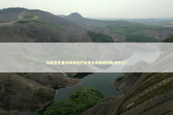 你是否也曾为网络资产的安全存储感到焦虑不已？