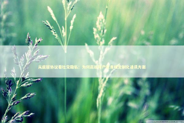 从底层协议看社交隐私：为何高端用户更青睐定制化通讯方案