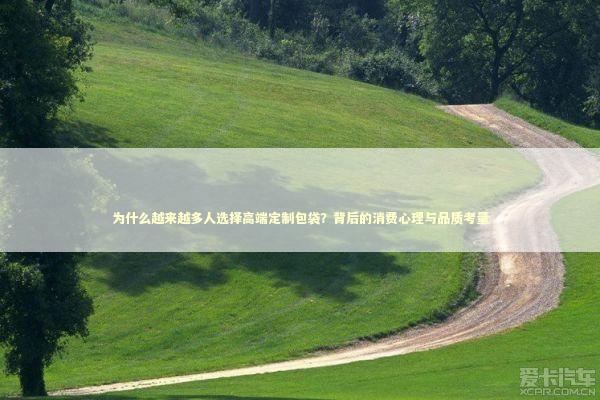 为什么越来越多人选择高端定制包袋?背后的消费心理与品质考量 为什么越来越多人选择高端定制包袋?背后的消费心理与品质考量 时尚用品