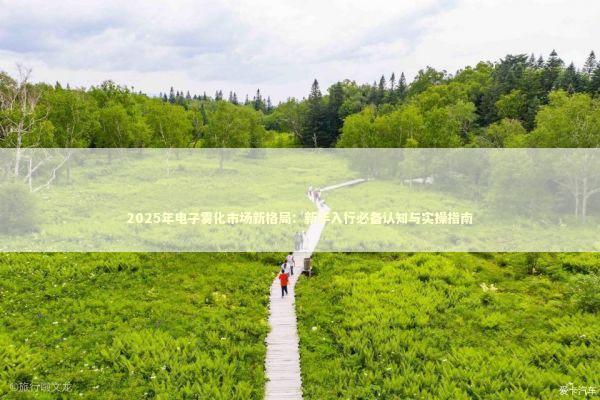 2025年电子雾化市场新格局：新手入行必备认知与实操指南 汽车科技