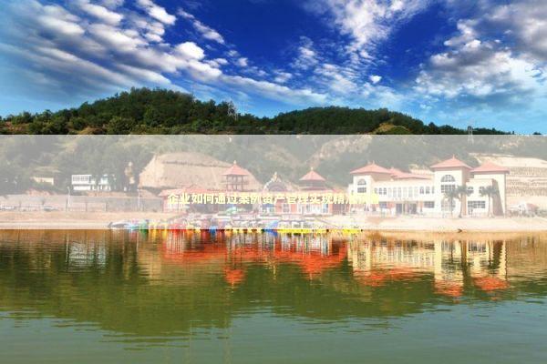 企业如何通过案例资产管理实现精准获客