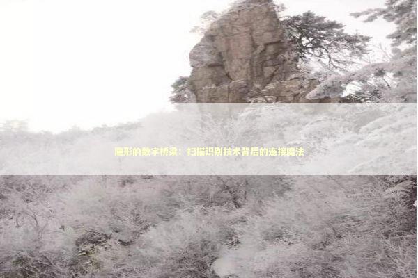 隐形的数字桥梁：扫描识别技术背后的连接魔法