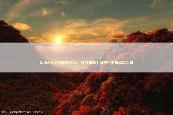 从技术小白到网络达人：我的科学上网进化史与真实心得