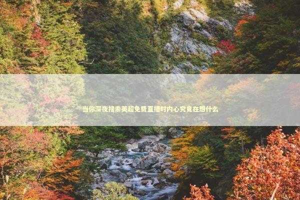 当你深夜搜索英超免费直播时内心究竟在想什么